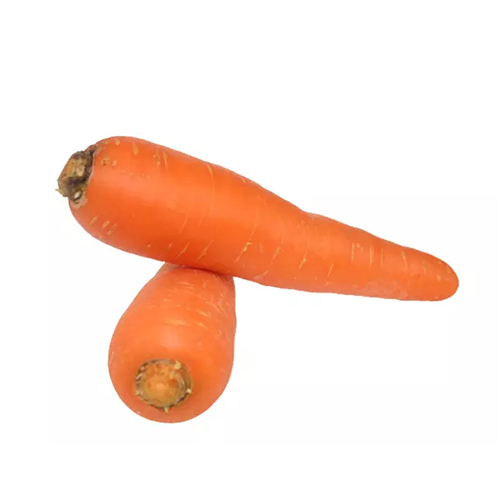 Fresh Carrot Shelf Life: 12 Months