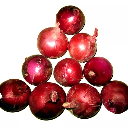 Fresh Onion Shelf Life: 12 Months