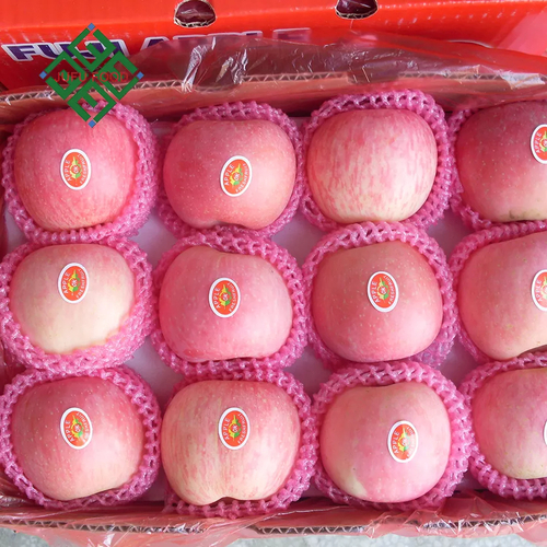 Red Delicious Fuji Apples Origin: Shandong