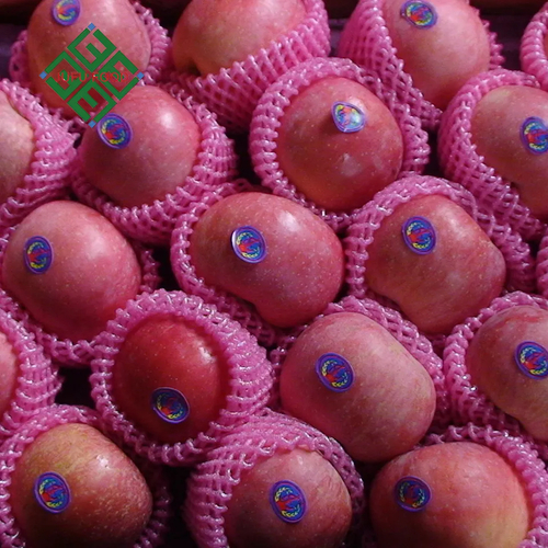 Yantai Fresh Fruits Red Delicious Fuji Apples Origin: Shandong