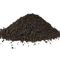 Assam Tea Antioxidants