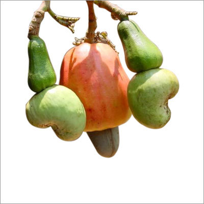 हरे कच्चे काजू