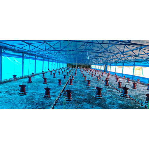 Automatic Poultry Nipple Drinker System - Feature: High Quality