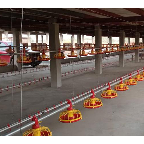 Automatic Poultry Nipple Drinker System - Feature: High Quality