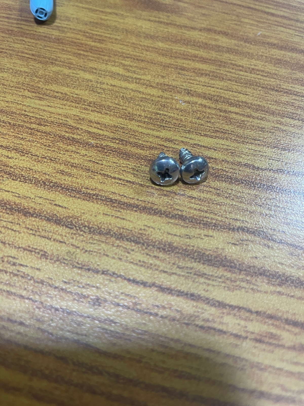 Silver Phillips Pan Head Screw