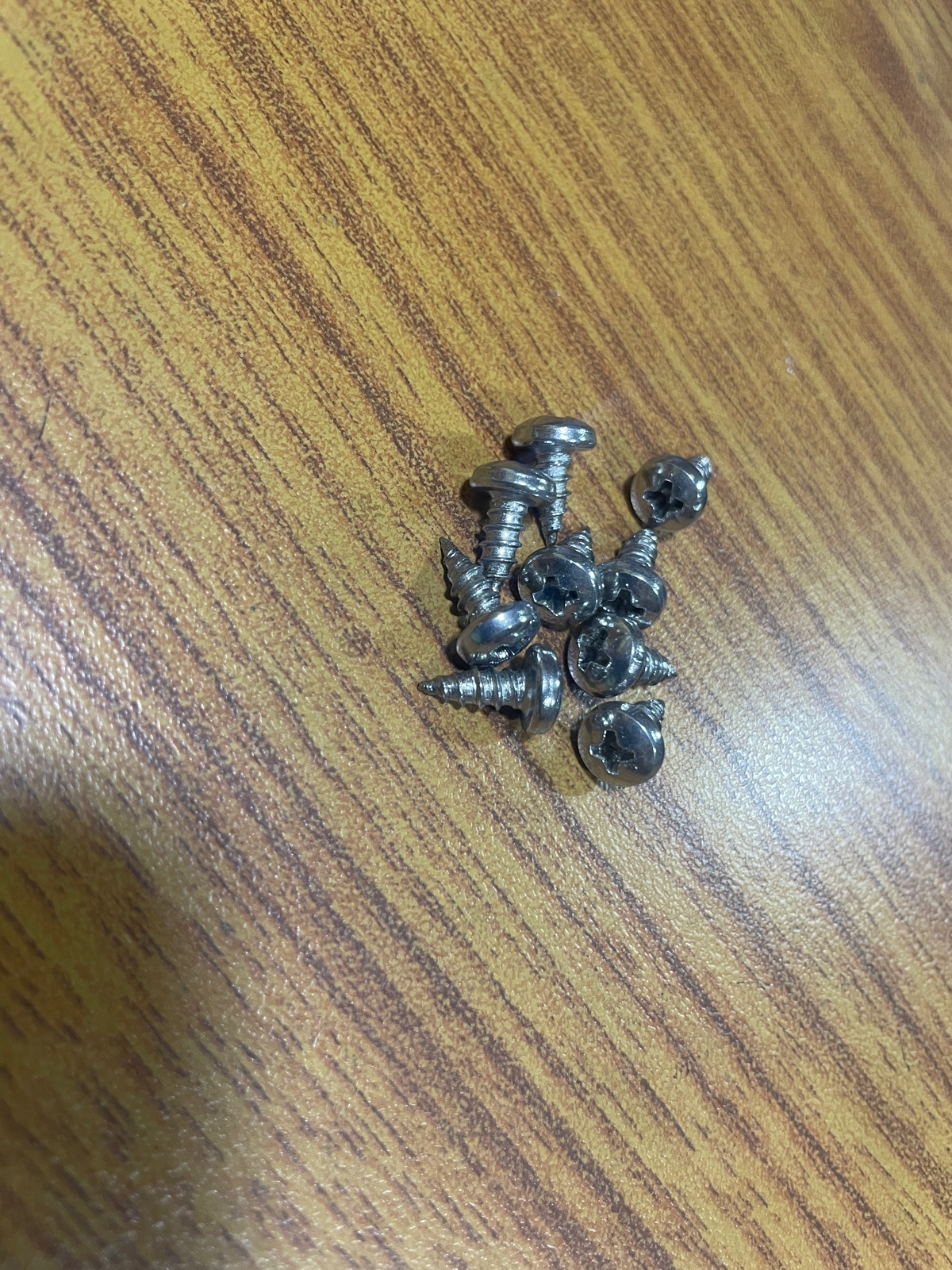 Silver Phillips Pan Head Screw