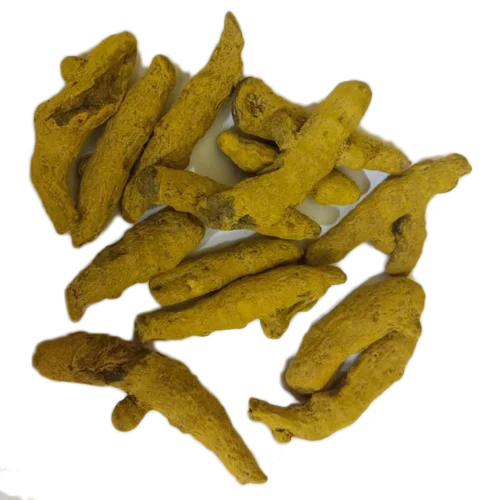 Dried Turmeric Finger - 100% Organic, Fine Texture Powder | First Class Grade, Raw Processing, 2 Years Shelf Life, Hygienic Packaging
