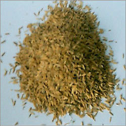 Rice Husk