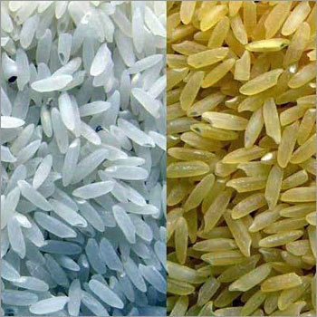 Rice