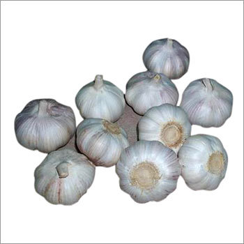 Fresh Normal White Garlic