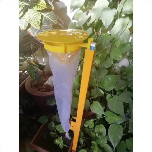Pheromone Trap - PP Material, 100 Pieces Per Box, Yellow Color | Traps Houseflies, Moths, and Other Insects for Agriculture Monitoring