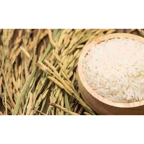 1121 Pusa Basmati Rice - Organic Long Grain White Rice, 100% Purity, Dried Solid Form