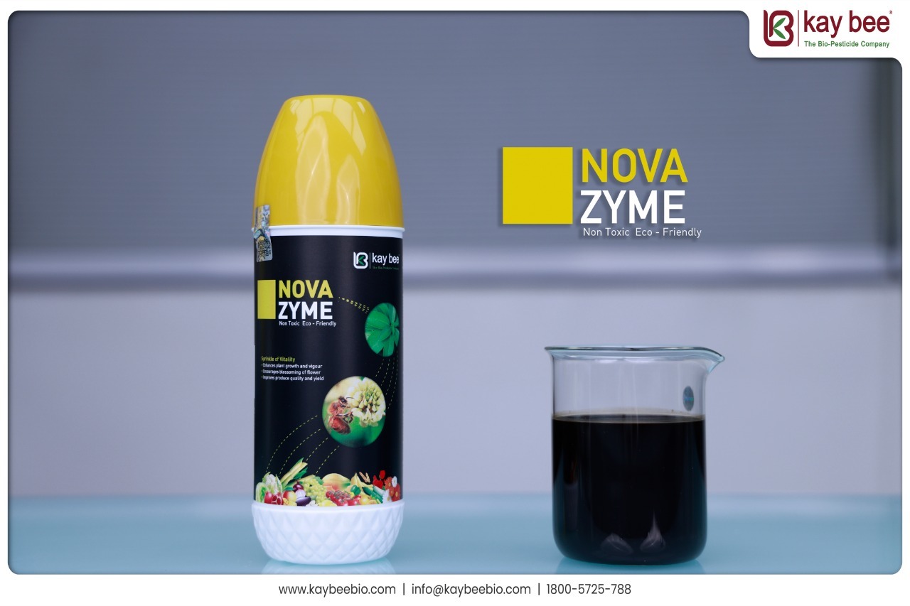 Nova Zyme - Liquid Organic Seaweed Fertilizer | Controlled Release, Water Soluble, Nutrient-rich Growth Enhancer For Vegetables, Fruits, And Horticultural Crops