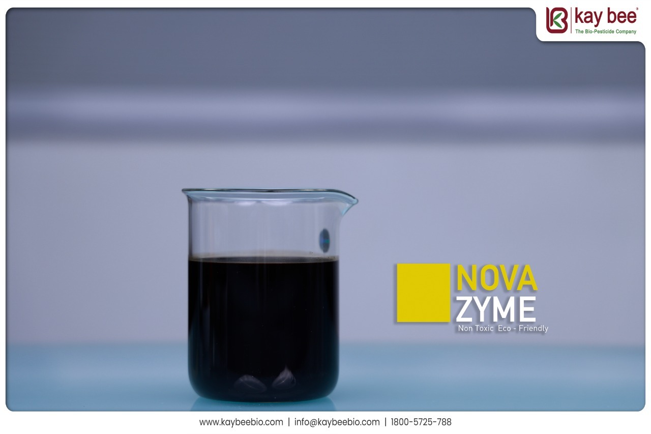 Nova Zyme - Liquid Organic Seaweed Fertilizer | Controlled Release, Water Soluble, Nutrient-rich Growth Enhancer For Vegetables, Fruits, And Horticultural Crops