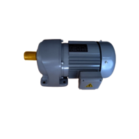 ग्रे हेलिकल गियर वाली मोटर