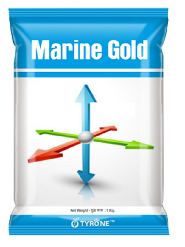 Marine Gold Powder
