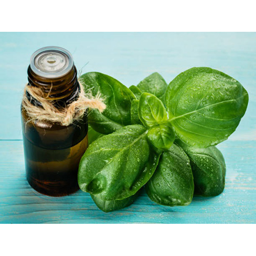 Natural Basil Essential Oil Age Group: All Age Group