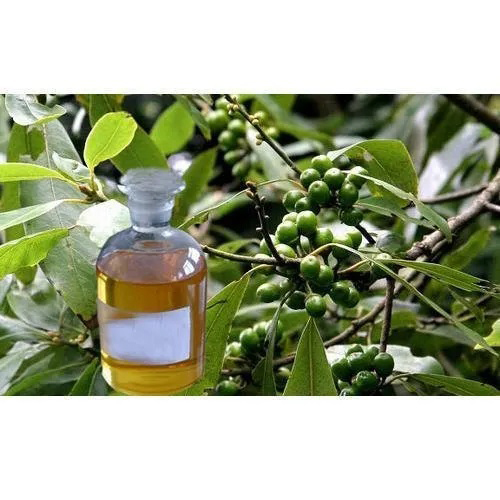 जमरोसा एसेंशियल ऑयल एज ग्रुप: ऑल एज ग्रुप