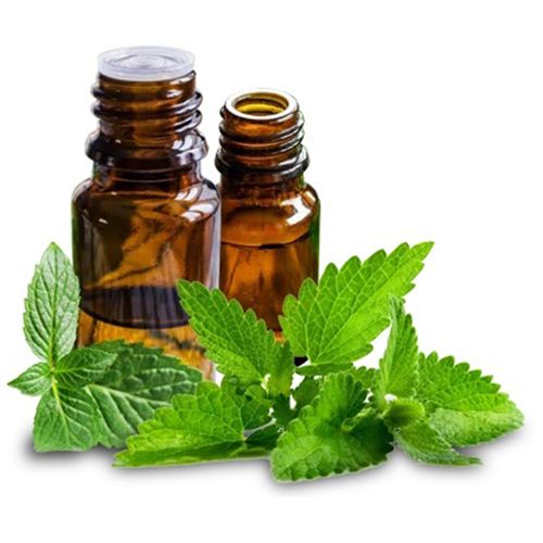 Spearmint Oil - 100% Pure Essential Oils, 2-Year Shelf Life, All Age Group Use, Store in Cool & Dry Place