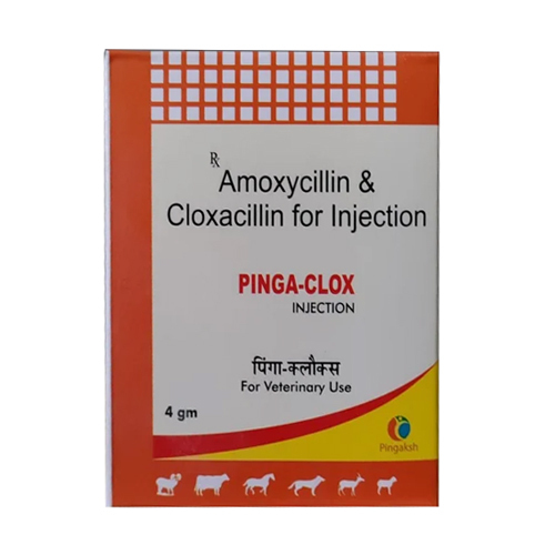 Liquid 4 Gm Amoxycillin And Cloxacillin Injection