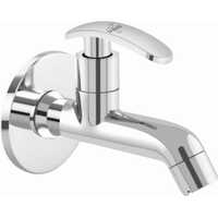 सिल्वर लॉन्ग बॉडी