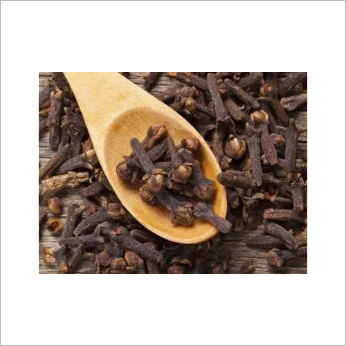 सीड्स ब्लैक क्लोव