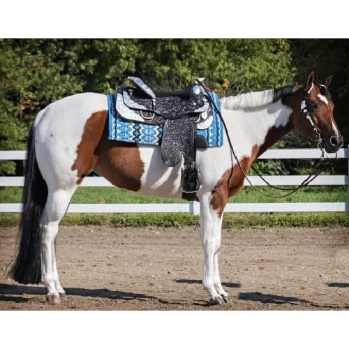 Handcrafted Leather Western Saddle For Horse - Color: Black
