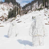 अलग-अलग उपलब्ध कैंप्रो मल्टी स्पेक्ट्रल व्हाइट कैमॉफ्लाज घिली सूट