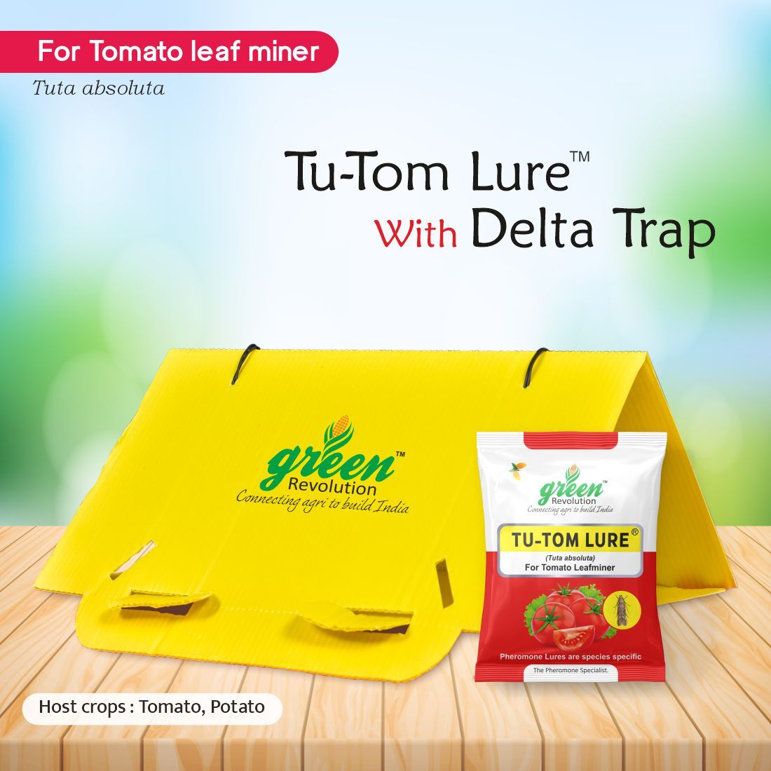 Tuta Leafminer Pheromone Trap - Tuta Absoluta Pheromone Lure