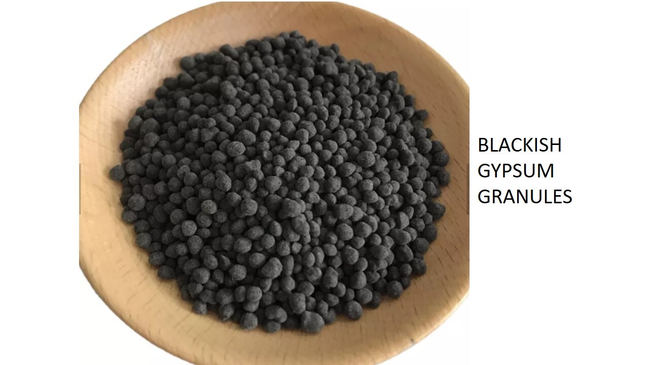 Cms Gypsum Granules Application: Agriculture By G.s. Minerals