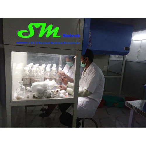 Customized Laminar Air Flow Application: Spawning Lab