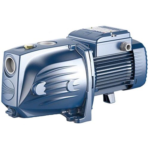 Stainless Steel Pedrollo Pumps