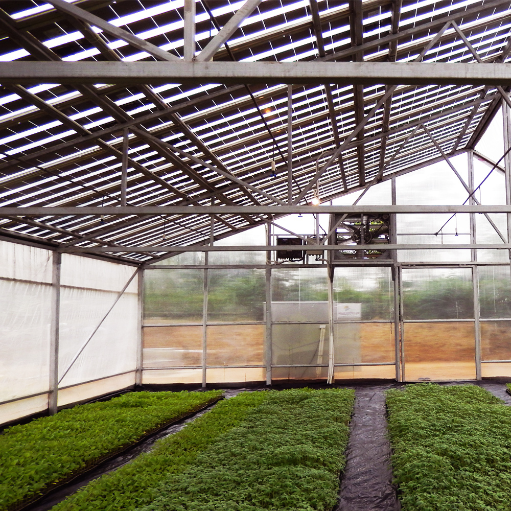 Solar Greenhouse