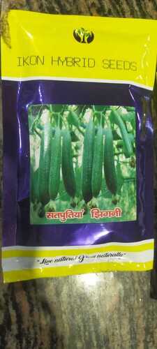 Sponge gourd seeds