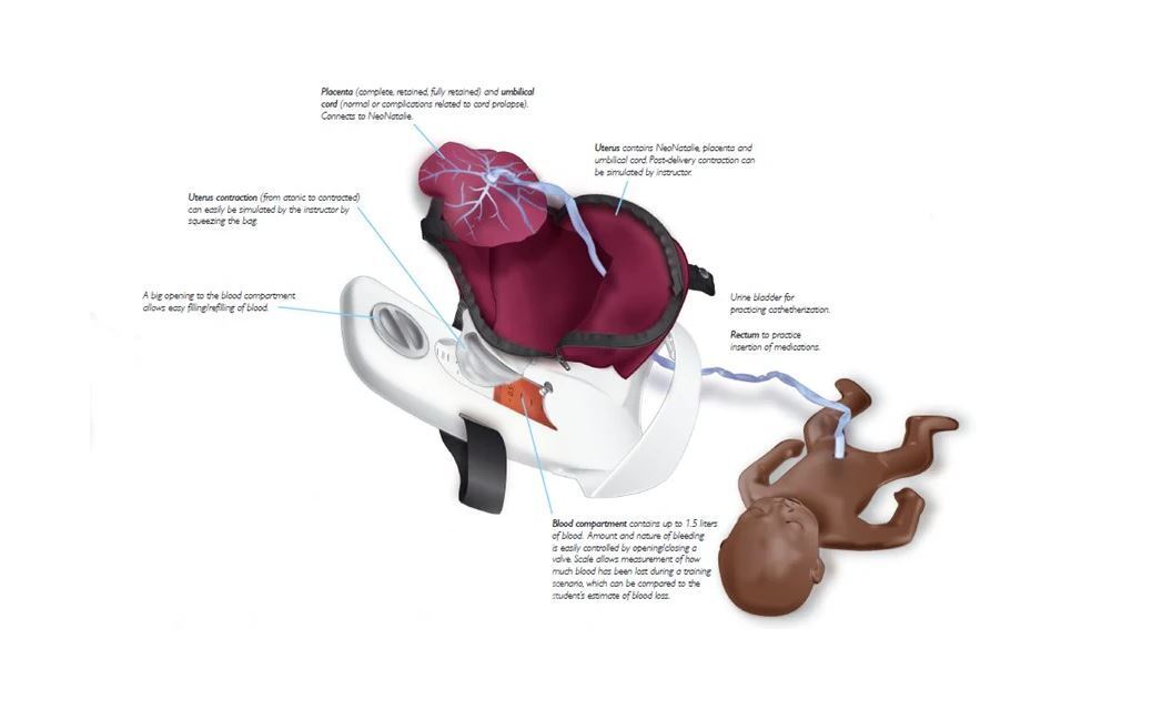 Preemie Natalie Preterm Simulator By Laerdal