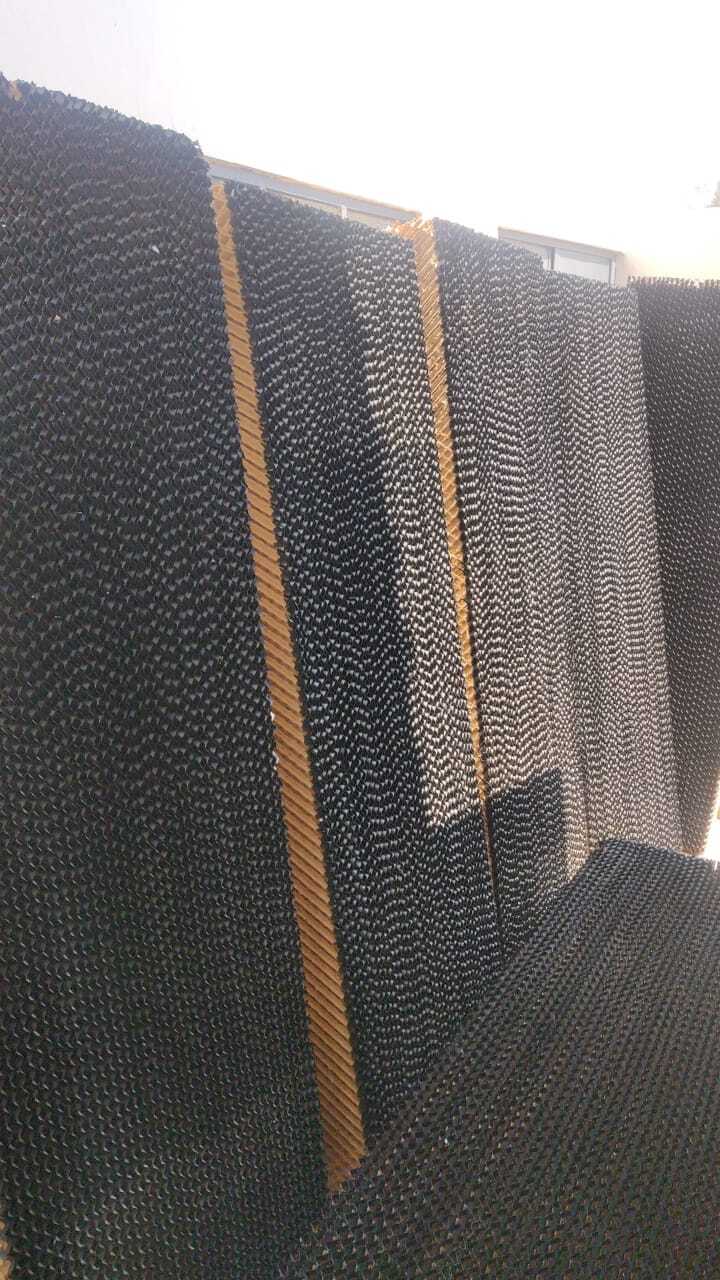 Brown And Green Brown Cellulose Pad In Gazipur Uttar Pradesh
