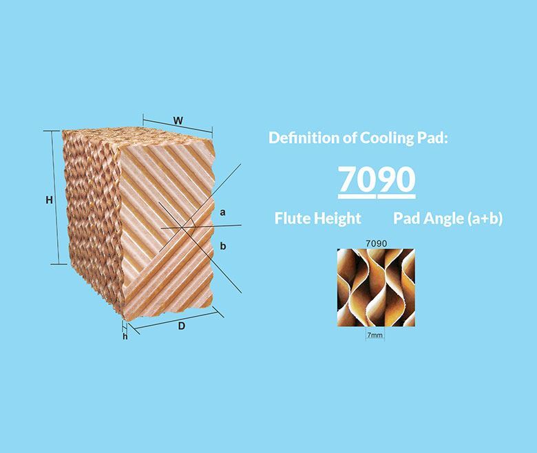 Brown And Green Brown Cellulose Pad Wholesaler In Noida Uttar Pradesh
