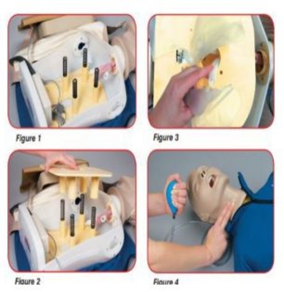 Deluxe Crisis Torso Manikin