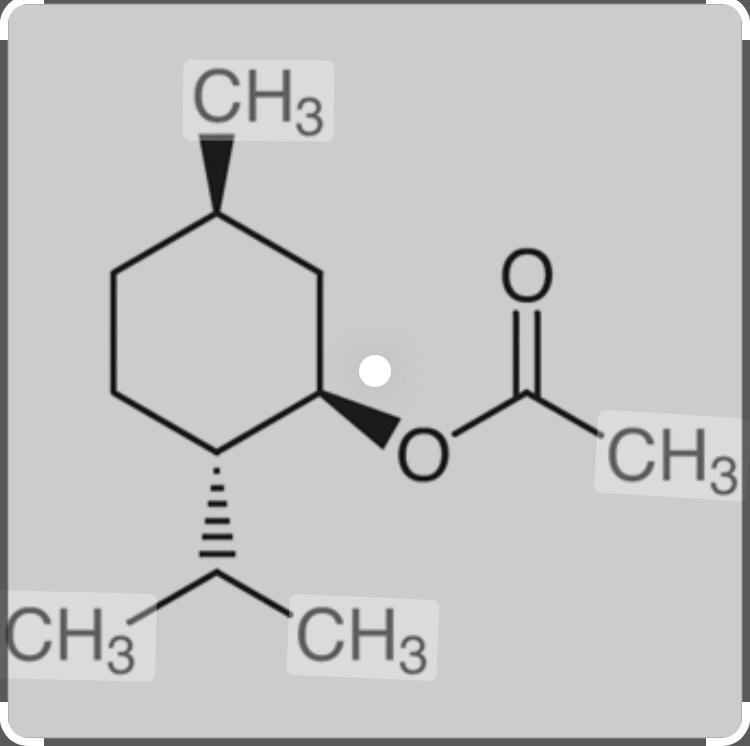 Menthyl Acetate - 100% Pure, A Grade Ester | Minty Flavoring And Cooling Agent For Food, Cosmetics, And Fragrance
