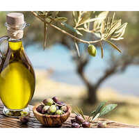 जैतून का तेल आयु समूह: वयस्क