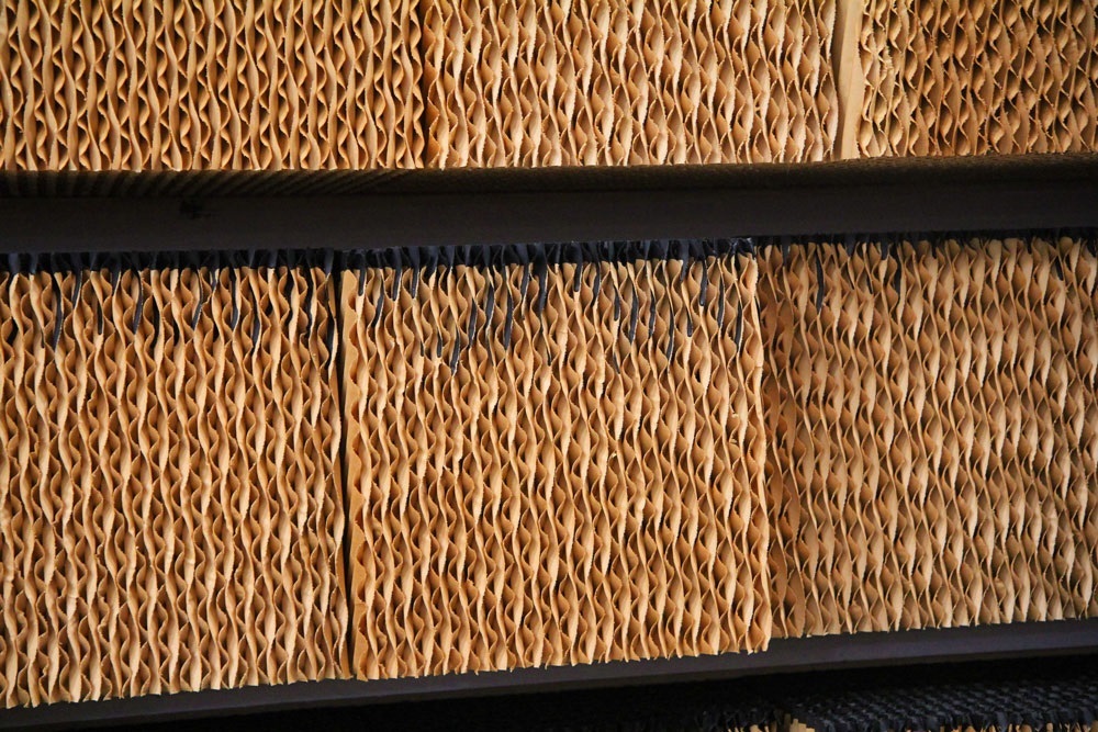 Brown And Green Brown Cellulose Pad Dealers In Mumbai Maharashtra