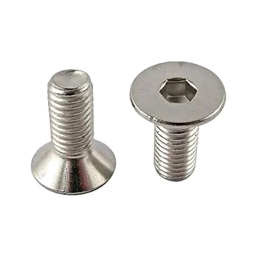 Stainless Steel Allen Csk Screw - Color: Silver