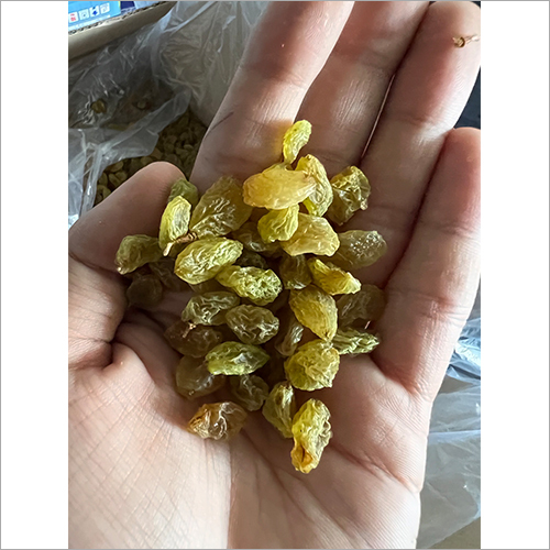 येलो फ्लेश ड्राई किशमिश
