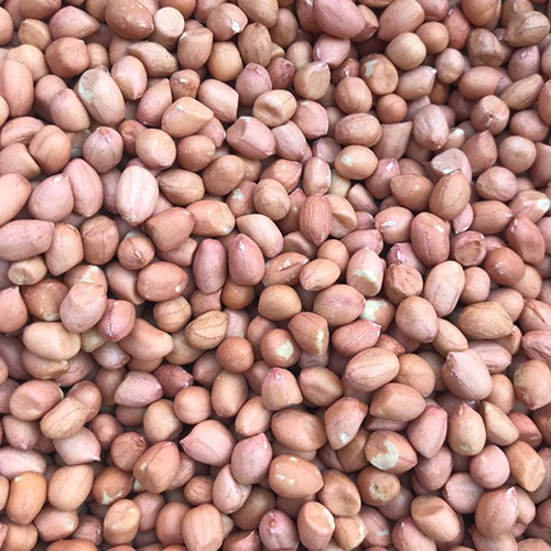 Peeled Groundnut Kernels - Raw Variety, Fresh Style | Rich In Protein, Antioxidants, And Dietary Fibre