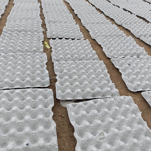 Egg Packaging Tray - Customized Size | High Quality For Commercial Use