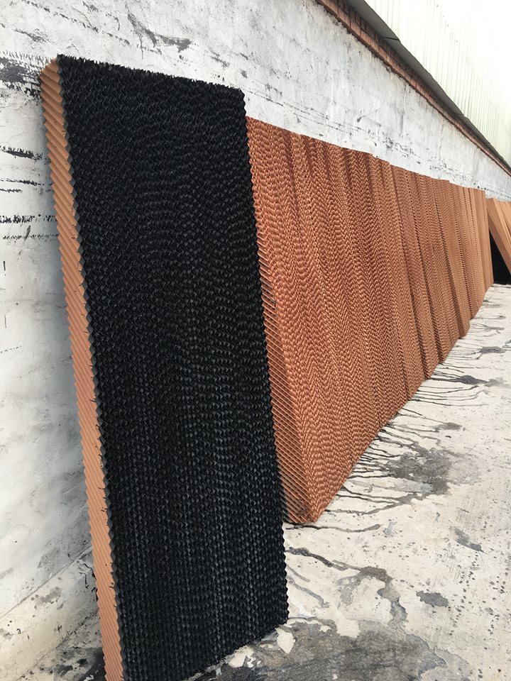 Brown And Green Brown Cellulose Pad Wholesaler In Mohan Nagar Ghaziabad