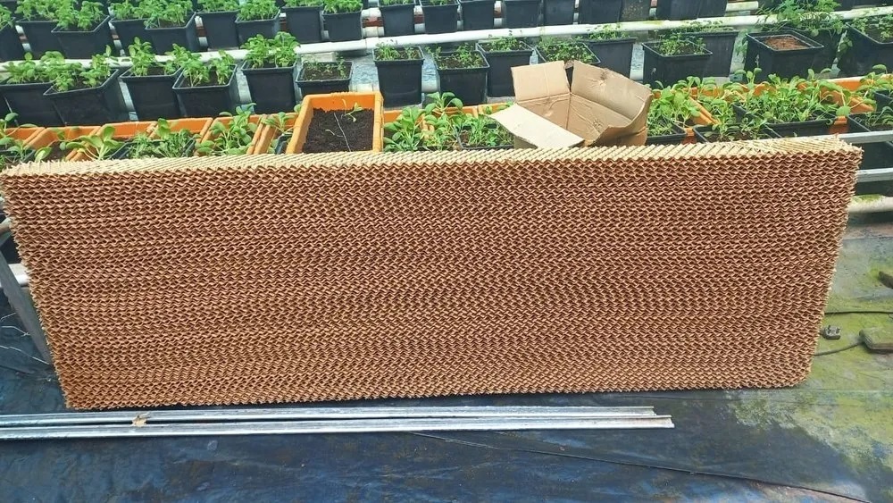 Brown And Green Brown Cellulose Pad Dealers In Bahadurgarh India