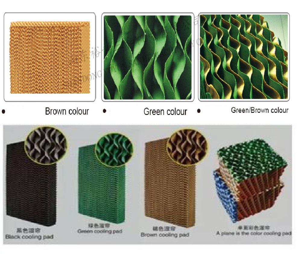 Brown And Green Brown Cellulose Pad Supplier In Machhlishahr Uttar Pradesh