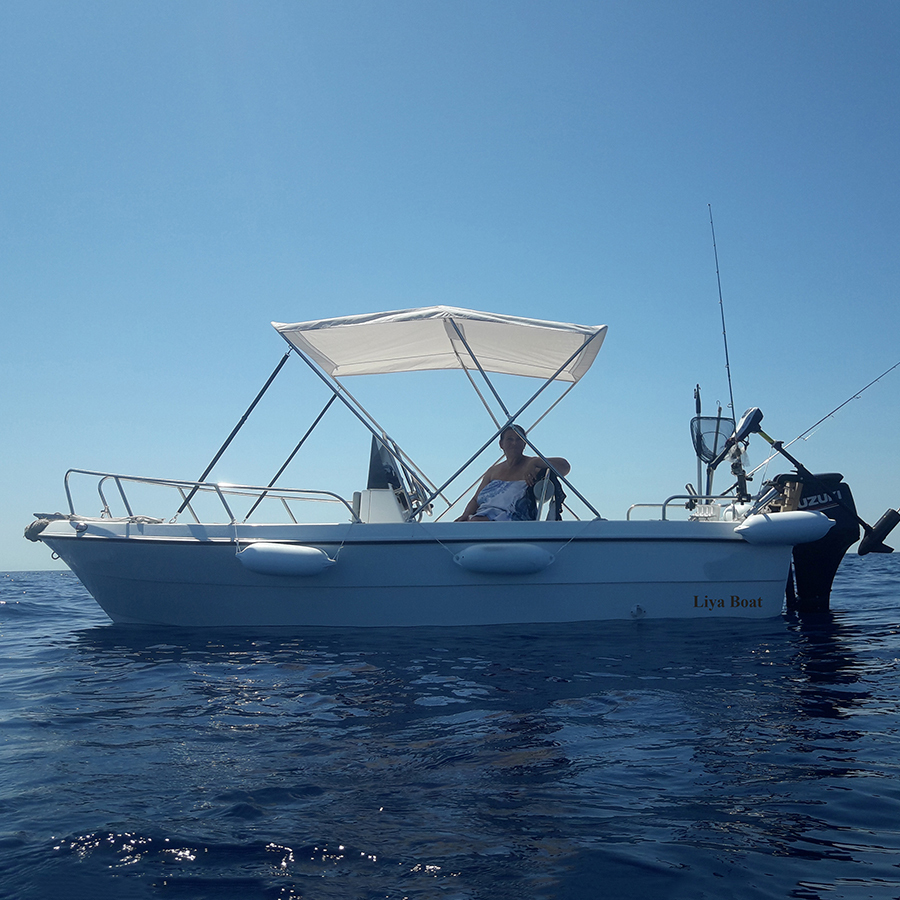 Liya 5m Commercial Fishing Boat Fiberglass Boats For Sale Dimensions: 16.4 Foot (Ft)