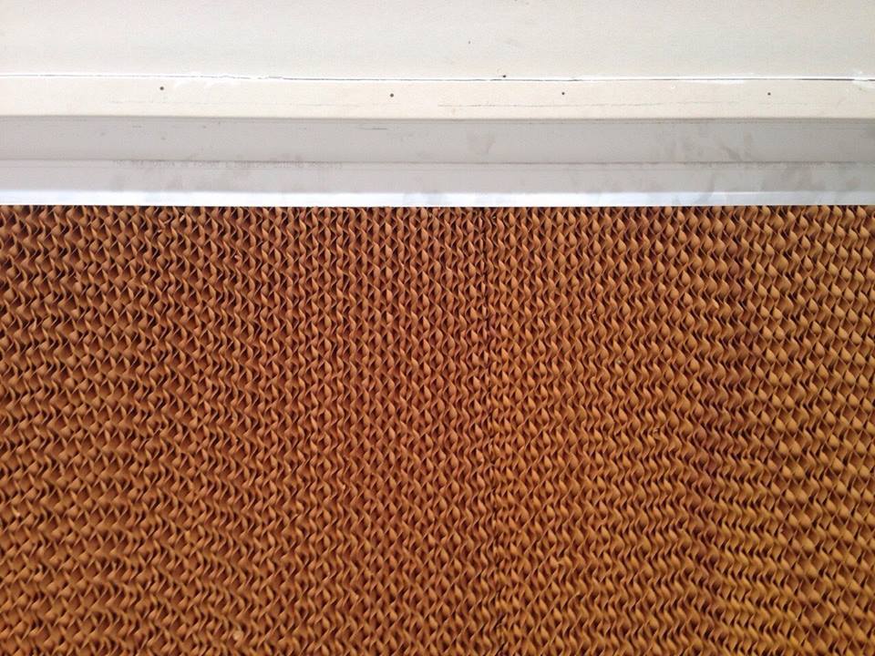 Cellulose Pad Supplier - 600mm To 1800mm Sizes, Brown & Green-brown Colors | Window Mount Installation, Ideal For Industrial & Commercial Uses